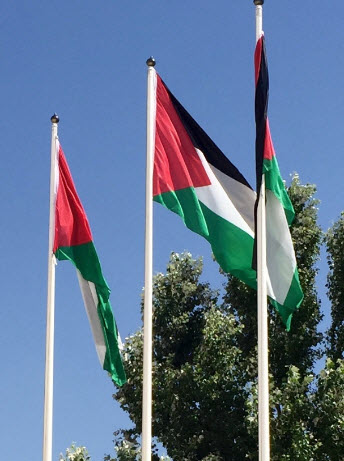 palestina-flagg.jpg