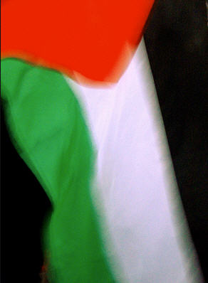 palestina1-flagg.jpg