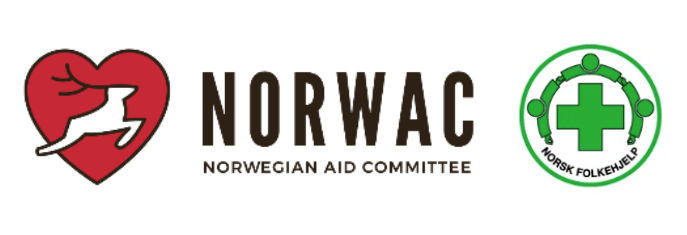 Norske NORWAC helsearbeid i norsk og amerikansk utenrikspolitikk