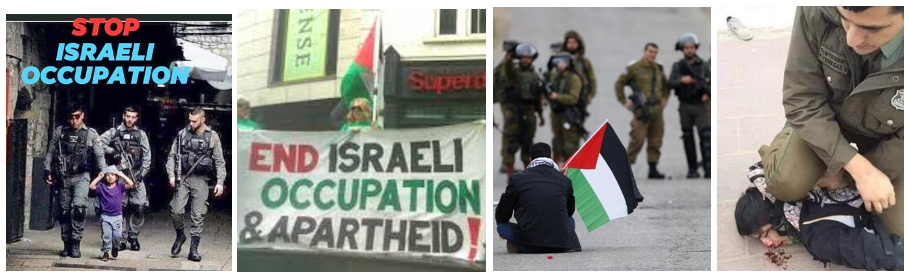 Palestina er palestinernes land 14