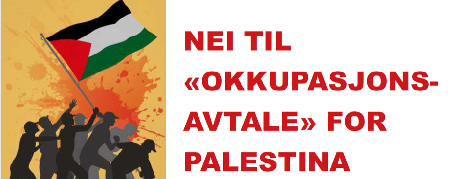 Solidaritet med Palestina 2
